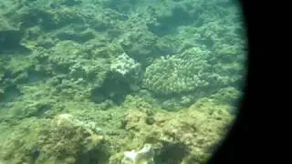 Underwater II