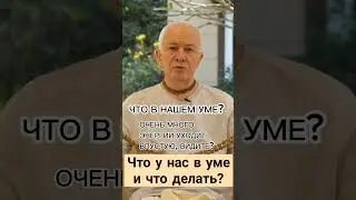 #джапа #махамантра #хакимов #чайтаньячандрачаранпрабху #святоеимя #бхакти_йога