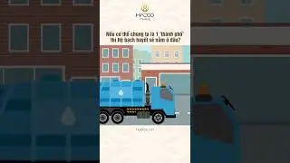 Nếu cơ thể chúng ta là 1 'thành phố' thì Hệ bạch huyết sẽ nằm ở đâu?