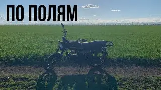ПОКАТУШКИ ПО ПОЛЯМ НА АЛЬФЕ Мусстанг