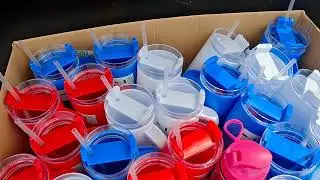 Dollar Tree Haul |  I Found The Virual Cups