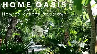 Creating A Garden Oasis At Home | How To Start A Home Garden | Tips To Create Your Tropical Garden