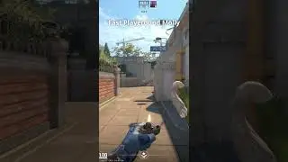 fast molly playground for CS2 Overpass 