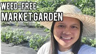New Market Garden for 2024, Weed-Free Garden, Kentucky Garden Tour