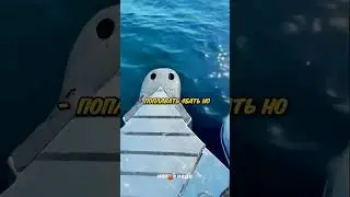 Литвин НА ЯХТЕ В ПОДМОСКОВЬЕ ! 😅 