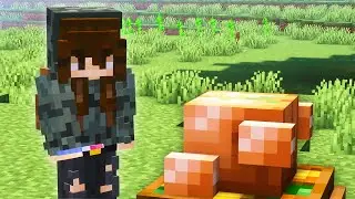 Rigging a Minecraft Cooking Competition