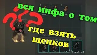 Где найти щенков в Last day on earth