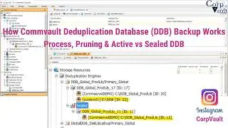#Commvault - Deduplication Database (DDB) Backup