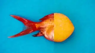 25 increibles ilusiones fotograficas   T mas