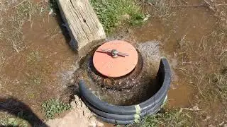 Alfalfa Valve