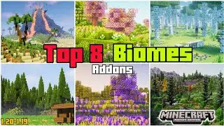🎖️TOP 8 BIOMES🏞️ ADDONS / MODS | For 