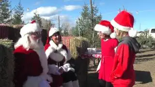 Colorado Native Christmas Trees Commercial 2015 Younger Troupe