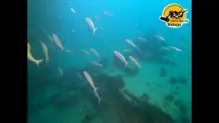 Gibraltar scuba dive, wrecking