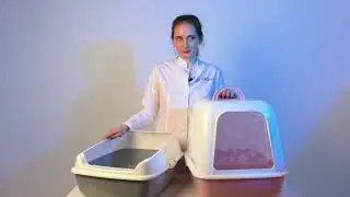 лотки
