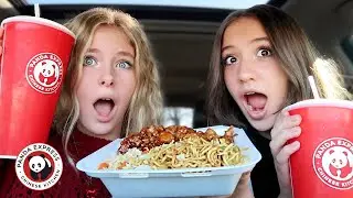 We Tried DRIVE THRU MUKBANG + Q&A | ANNELISE & ALIYA