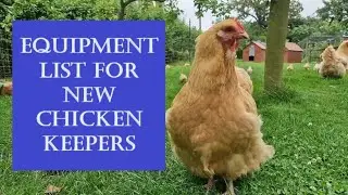 Starting Chicken Keeping? An Equipment Checklist