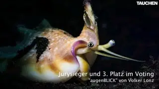 Die Siegerfotos aus dem Leserfoto-Voting Juli 2012