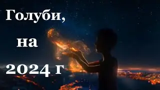 Голуби на 2024 г