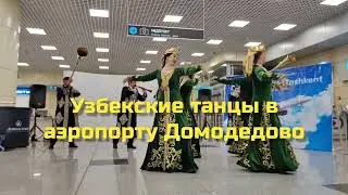 Узбекские танцы в аэропорту Домодедово