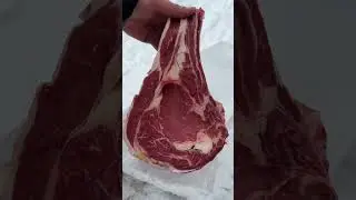 Русич кормит Моржа 🥩🔥