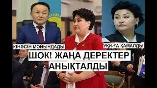 Бақытгүл Хаменованың Ұсталуына Қатысты Жаңа Деректер Айтылды Ақылбек Рысқалиев Кінәсін Мойындады