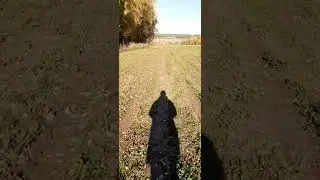 ПСИТЕРРОР. НЕ СВОЙ СРЕДИ ЧУЖИХ, ЧУЖОЙ СРЕДИ СВОИХ - Продолжение