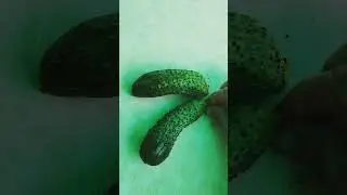 Огурец!!!  