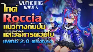 Wuthering Waves | ไกด์เเนวทางการปั้น Roccia และเเนะนำวิธีการคอมโบ!