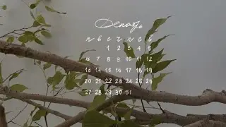 Новогодний подарок от Центра "Семья"
