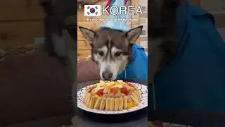 Birthdays in Korea and Russia (Russian memes) #animal #birthday #shorts