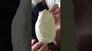 Côte de porc moisie (koji)
