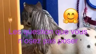 Les questions que vous n’osez pas poser