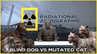 Blind Dog VS Mutated Cat, which will win? (STALKER Anomaly Mod)