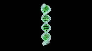 Designing Droplet Digital PCR Assays