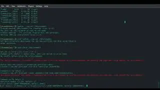 NixOS 1: ZFS Encrypted Root on Thinkpad P51