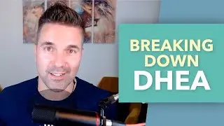 Breaking Down DHEA In A Way You Can Understand!