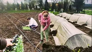 Посадили Капусту, Кабачок і Кукурудзу. Рання цибуля... як на Херсонщині