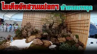 ไอเดีย จัดสวน แปลกๆ | พาไปชมการ จัดสวน หลัง รถบรรทุก ขนาดเล็ก | ไอเดียจัดสวนเล็กๆ | จัดสวน ญี่ปุ่น