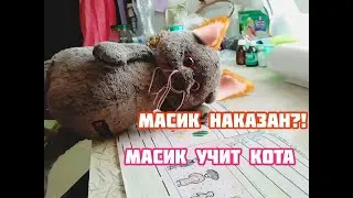 Basik: Басик учится, Басик наказан?!