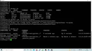 Docker Tutorial in Hindi | Docker port and volume | Docker Command