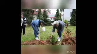 экологическая акция посади свое дерево