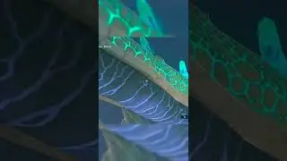 I Reunited Naydra With Their Dragon God In Zelda: Breath Of The Wild 