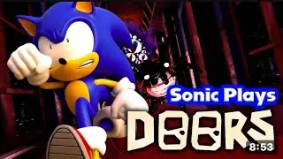 Sonic plays doors