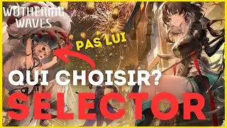 Wuthering Waves | SELECTOR 5 ÉTOILES, QUI CHOISIR ?