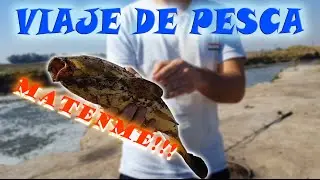 Viaje de Pesca | Mechita, Buenos Aires, Argentina |Necroft