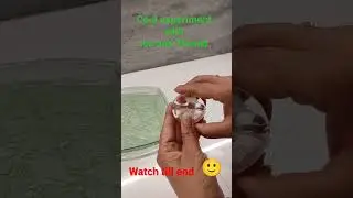 Cool experiment with Ice and Thread