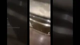 What to do if you touch your elf 🧝