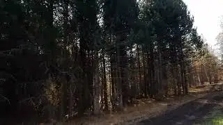 5 августа 2023 г.