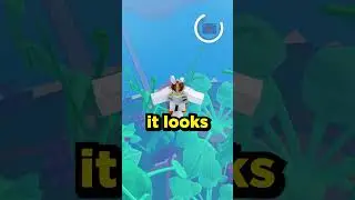 What's the Best Sea in Blox Fruits  