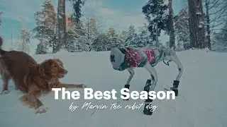 The Best Season